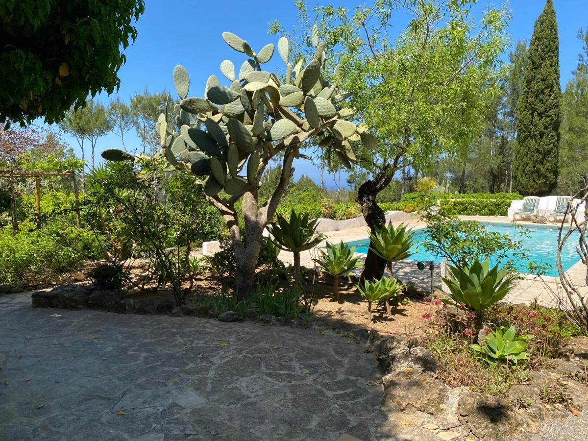 Can Iara Sant Miquel De Balansat Luaran gambar