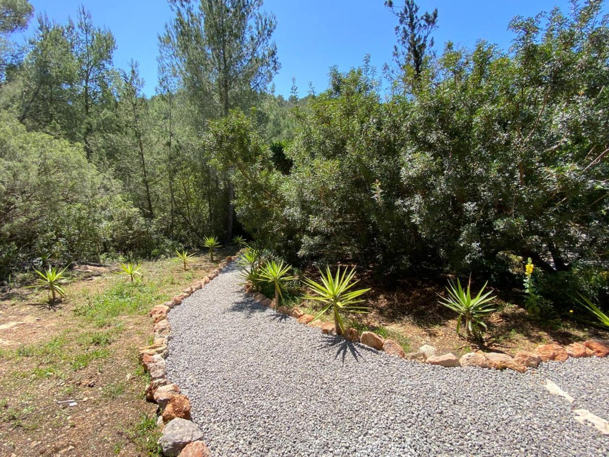 Can Iara Sant Miquel De Balansat Luaran gambar